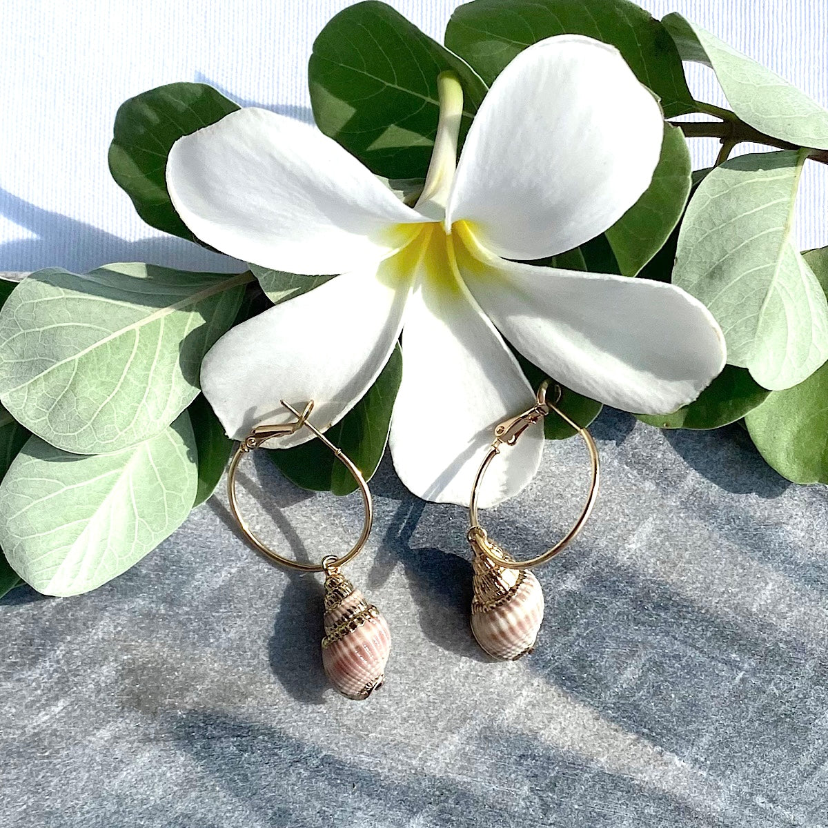 Mocha Shell & Alloy Hoop Drop Earrings