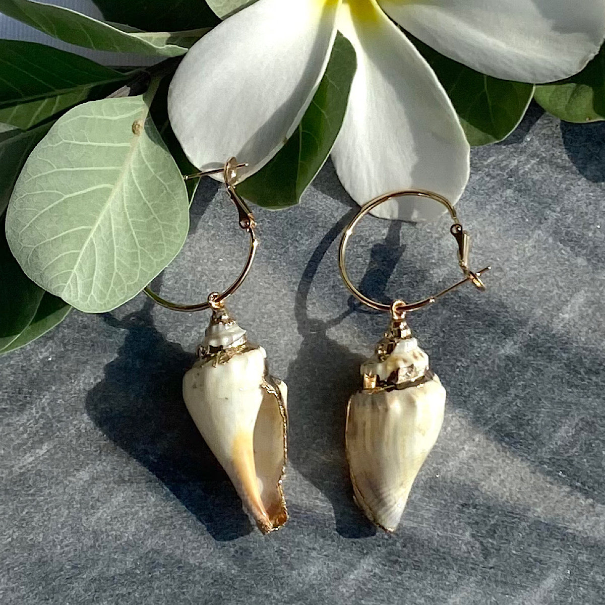 Shell & Alloy Hoop Drop Earrings_4