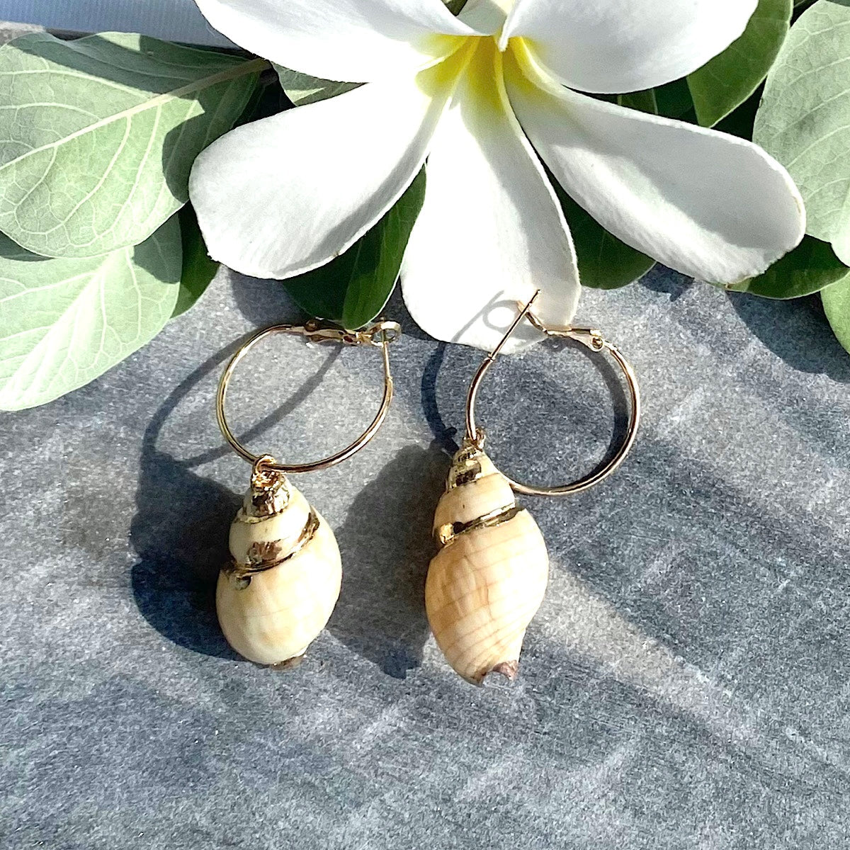 Shell & Alloy Hoop Drop Earrings_1