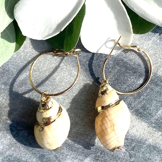 Shell & Alloy Hoop Drop Earrings_1