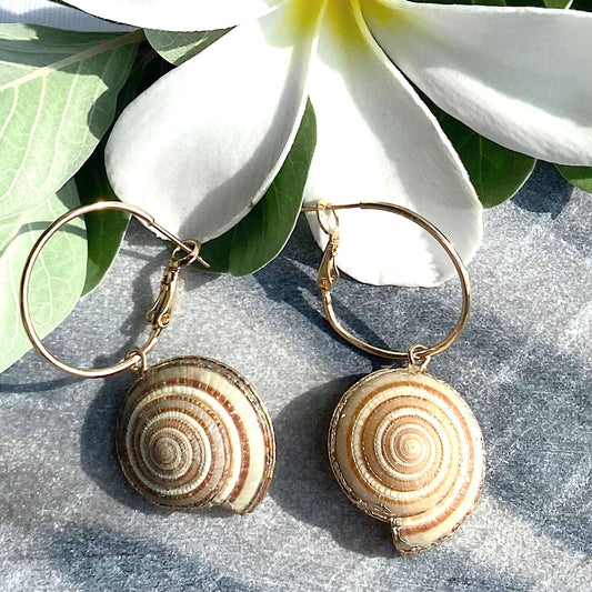 SunDial Shell & Alloy Hoop Drop Earrings