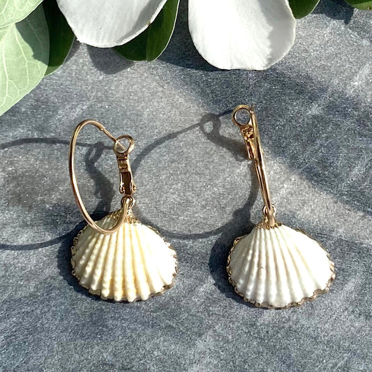 Clam Shell & Alloy Hoop Drop Earrings