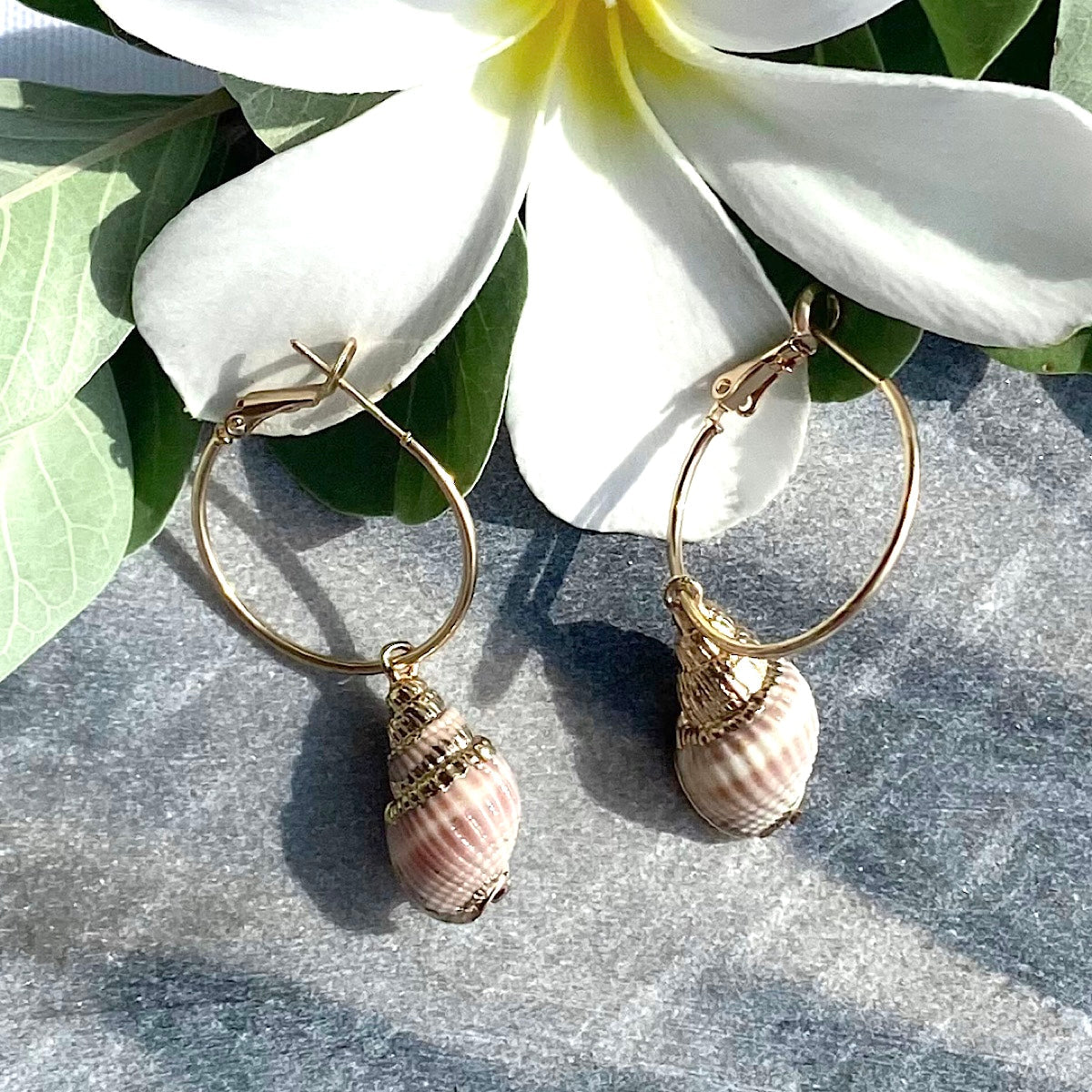 Mocha Shell & Alloy Hoop Drop Earrings